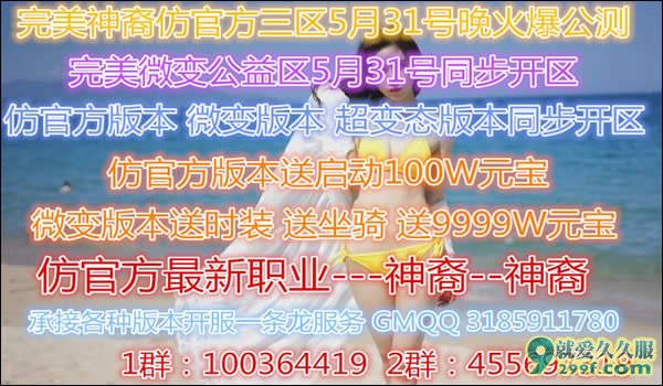 完美神裔仿盛大微变公益传奇群服